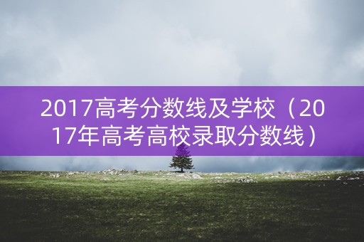 2017高考分数线及学校（2017年高考高校录取分数线）