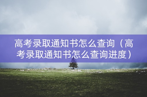 高考录取通知书怎么查询（高考录取通知书怎么查询进度）