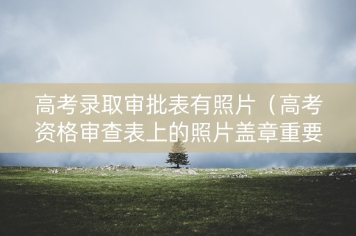 高考录取审批表有照片（高考资格审查表上的照片盖章重要吗）