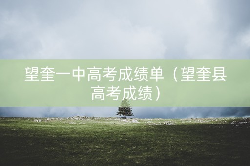 望奎一中高考成绩单（望奎县高考成绩）