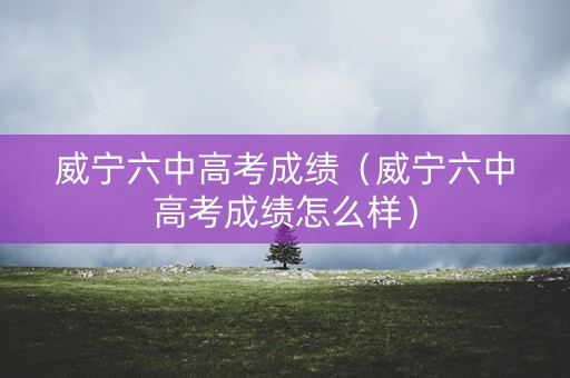 威宁六中高考成绩（威宁六中高考成绩怎么样）