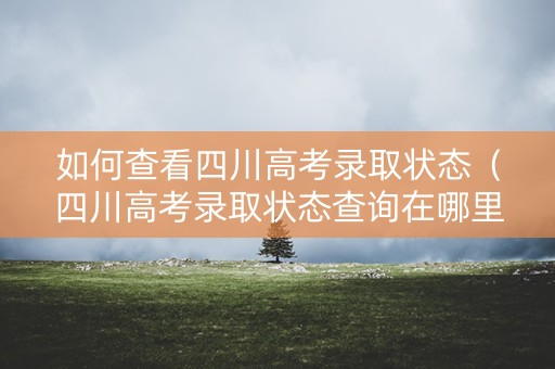 如何查看四川高考录取状态（四川高考录取状态查询在哪里可以看到）