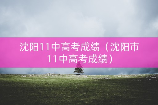 沈阳11中高考成绩(沈阳市11中高考成绩) 沈阳11中高考成绩(沈阳市11中高考成绩)