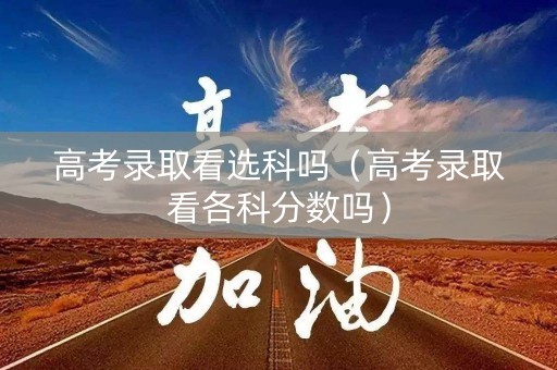 高考录取看选科吗（高考录取看各科分数吗）
