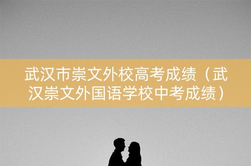 武汉市崇文外校高考成绩（武汉崇文外国语学校中考成绩）