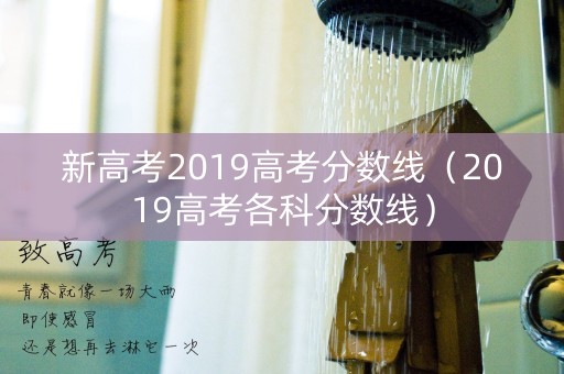 新高考2019高考分数线（2019高考各科分数线）