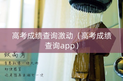 高考成绩查询激动（高考成绩查询app）
