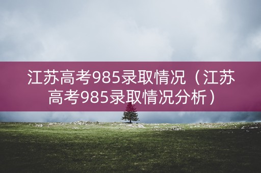 江苏高考985录取情况（江苏高考985录取情况分析）