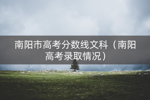 南阳市高考分数线文科（南阳高考录取情况）