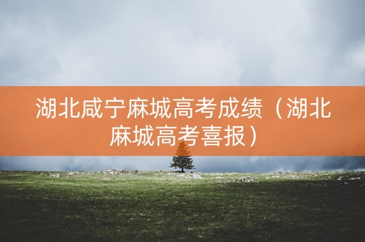 湖北咸宁麻城高考成绩（湖北麻城高考喜报）