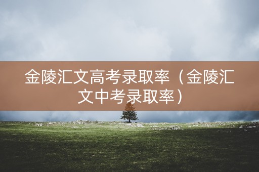 金陵汇文高考录取率（金陵汇文中考录取率）