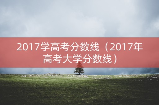 2017学高考分数线（2017年高考大学分数线）