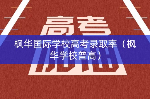 枫华国际学校高考录取率（枫华学校普高）