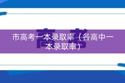 市高考一本录取率（各高中一本录取率）