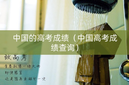 中国的高考成绩（中国高考成绩查询）