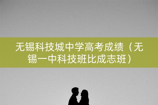 无锡科技城中学高考成绩（无锡一中科技班比成志班）