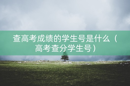 查高考成绩的学生号是什么（高考查分学生号）