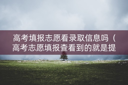 高考填报志愿看录取信息吗（高考志愿填报查看到的就是提交过的吗?）