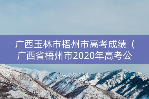 广西玉林市梧州市高考成绩（广西省梧州市2020年高考公布）
