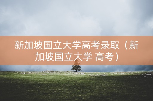 新加坡国立大学高考录取（新加坡国立大学 高考）