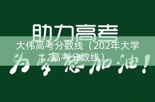 大伟高考分数线（202年大学高考分数线）