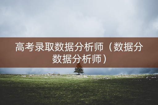高考录取数据分析师（数据分数据分析师）