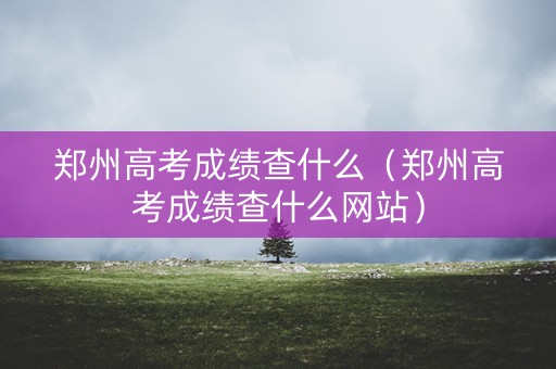 郑州高考成绩查什么（郑州高考成绩查什么网站）
