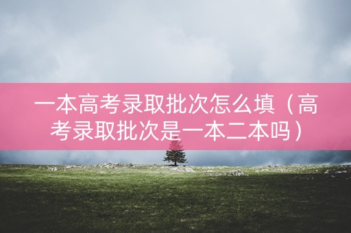 一本高考录取批次怎么填（高考录取批次是一本二本吗）