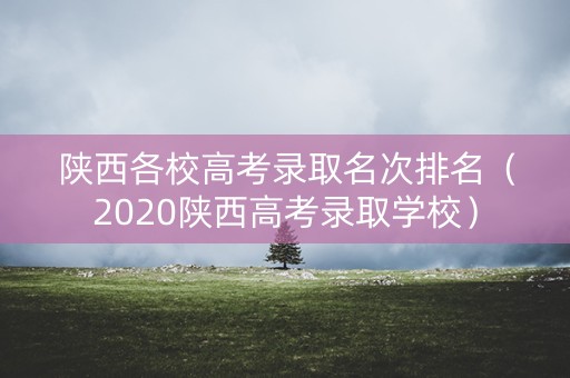 陕西各校高考录取名次排名（2020陕西高考录取学校）