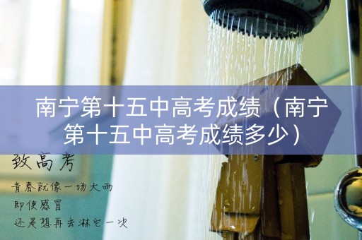 南宁第十五中高考成绩（南宁第十五中高考成绩多少）