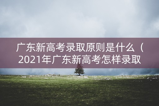 广东新高考录取原则是什么（2021年广东新高考怎样录取）
