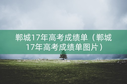 郸城17年高考成绩单（郸城17年高考成绩单图片）