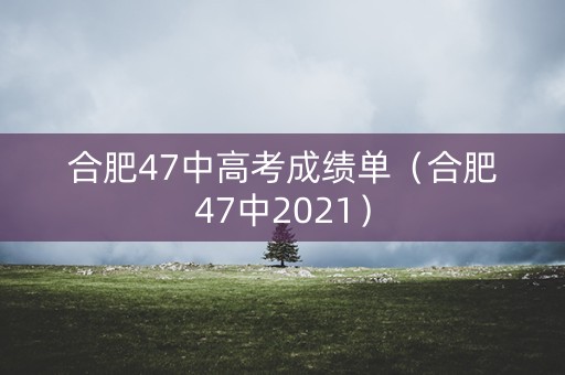 合肥47中高考成绩单（合肥47中2021）