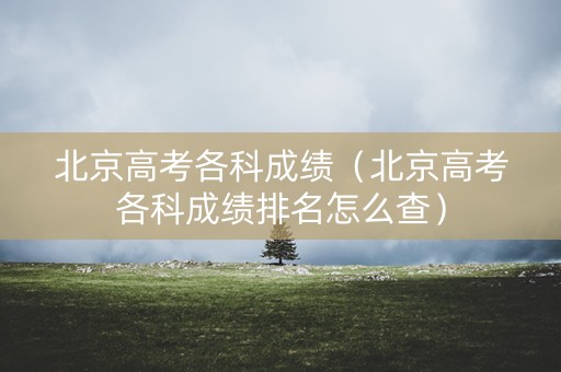 北京高考各科成绩（北京高考各科成绩排名怎么查）