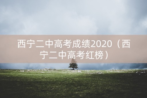 西宁二中高考成绩2020（西宁二中高考红榜）