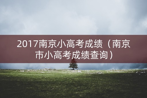 2017南京小高考成绩（南京市小高考成绩查询）