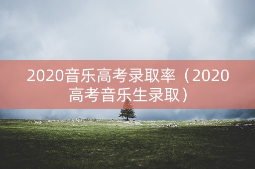 2020音乐高考录取率（2020高考音乐生录取）