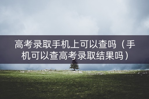 高考录取手机上可以查吗（手机可以查高考录取结果吗）