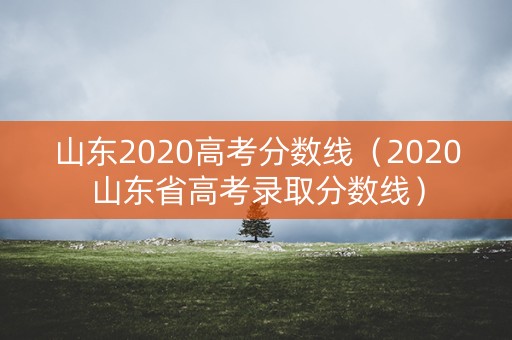 山东2020高考分数线(2020山东省高考录取分数线) 山东2020高考分数线(2020山东省高考录取分数线)