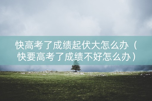 快高考了成绩起伏大怎么办（快要高考了成绩不好怎么办）