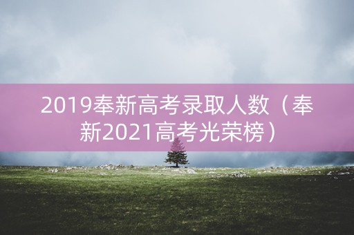 2019奉新高考录取人数(奉新2021高考光荣榜) 2019奉新高考录取人数(奉新2021高考光荣榜)