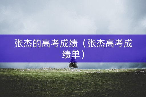 张杰的高考成绩（张杰高考成绩单）