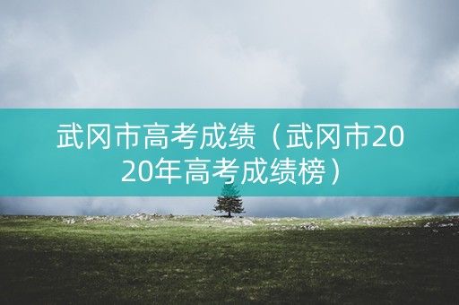 武冈市高考成绩(武冈市2020年高考成绩榜) 武冈市高考成绩(武冈市2020年高考成绩榜)