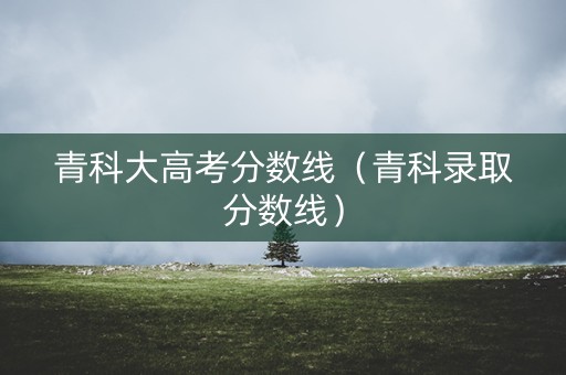青科大高考分数线（青科录取分数线）