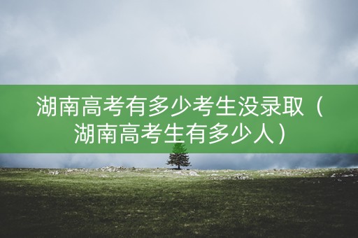 湖南高考有多少考生没录取（湖南高考生有多少人）