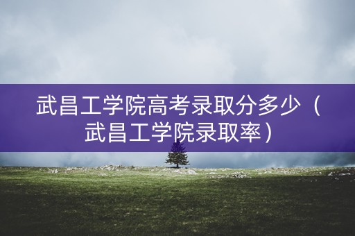 武昌工学院高考录取分多少（武昌工学院录取率）