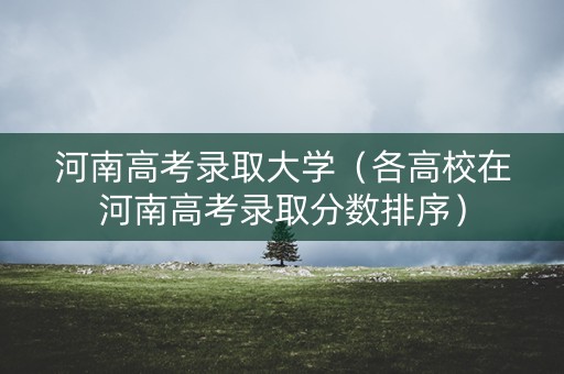 河南高考录取大学（各高校在河南高考录取分数排序）