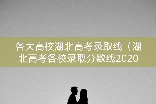 各大高校湖北高考录取线（湖北高考各校录取分数线2020）
