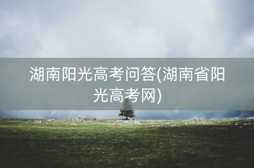 湖南阳光高考问答(湖南省阳光高考网)
