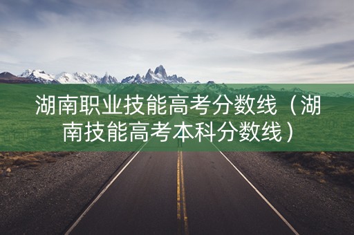 湖南职业技能高考分数线（湖南技能高考本科分数线）